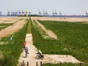 Radfahrer gegenüber von Bremerhaven