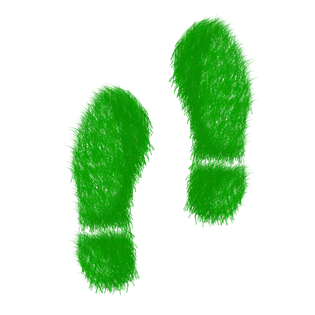 grüne Füße als Sinnbild für ökologischer Fußabdruck und nachhaltige Unternehmenskultur